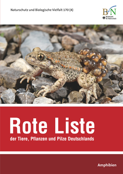 NaBiV Heft 170/4 Rote Liste der Tiere, Pflanzen und Pilze Deutschlands – Amphibien von Bundesamt für Naturschutz