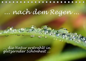 … nach dem Regen … die Natur erstrahlt in glitzernder Schönheit (Tischkalender immerwährend DIN A5 quer) von GUGIGEI,  k.A.