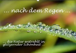 … nach dem Regen … die Natur erstrahlt in glitzernder Schönheit (Wandkalender immerwährend DIN A2 quer) von GUGIGEI,  k.A.