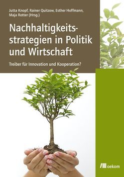 Nachhaltigkeitsstrategien in Politik und Wirtschaft von Hoffmann,  Esther, Knopf,  Jutta, Quitzow,  Rainer, Rotter,  Maja