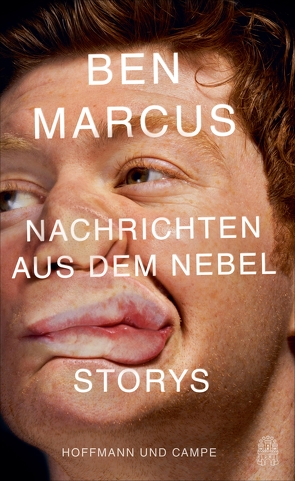 Nachrichten aus dem Nebel von Jacobs,  Stefanie, Marcus,  Ben, Schönherr,  Jan