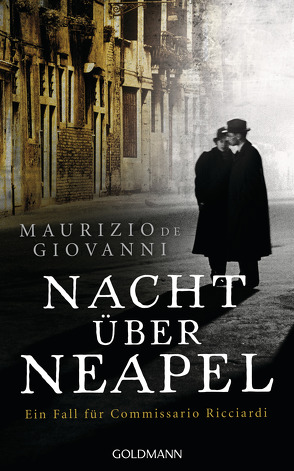 Nacht über Neapel von Giovanni,  Maurizio de, Schwaab,  Judith
