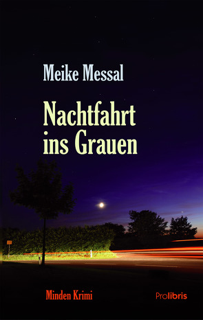 Nachtfahrt ins Grauen von Messal,  Meike