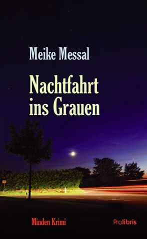 Nachtfahrt ins Grauen von Messal,  Meike