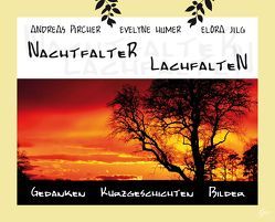 Nachtfalter – Lachfalten von Humer,  Evelnye, Jilg,  Elora, Pircher,  Andreas