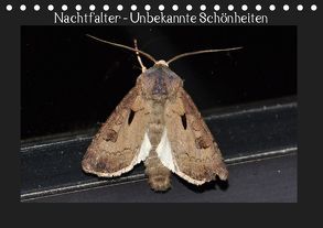 Nachtfalter – Unbekannte Schönheiten (Tischkalender 2019 DIN A5 quer) von Wagner,  Renate