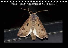 Nachtfalter – Unbekannte Schönheiten (Tischkalender 2020 DIN A5 quer) von Wagner,  Renate