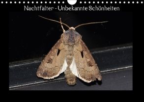Nachtfalter – Unbekannte Schönheiten (Wandkalender 2018 DIN A4 quer) von Wagner,  Renate