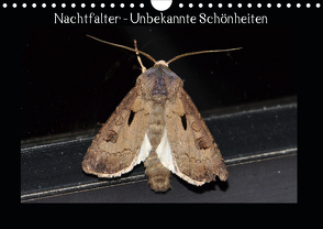 Nachtfalter – Unbekannte Schönheiten (Wandkalender 2021 DIN A4 quer) von Wagner,  Renate
