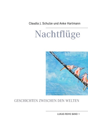 Nachtflüge von Hartmann,  Anke, Schulze,  Claudia J.