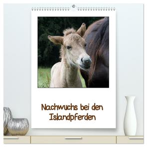 Nachwuchs bei den Islandpferden (hochwertiger Premium Wandkalender 2024 DIN A2 hoch), Kunstdruck in Hochglanz von Beuck,  Angelika