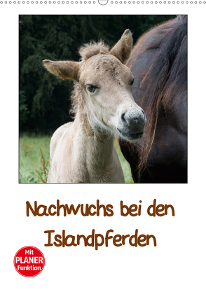 Nachwuchs bei den Islandpferden – Planer (Wandkalender 2020 DIN A2 hoch) von Beuck,  Angelika