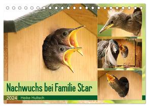 Nachwuchs bei Familie Star (Tischkalender 2024 DIN A5 quer), CALVENDO Monatskalender von Hultsch,  Heike