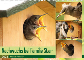 Nachwuchs bei Familie Star (Wandkalender 2023 DIN A2 quer) von Hultsch,  Heike