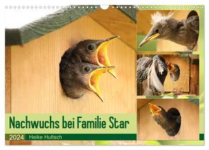 Nachwuchs bei Familie Star (Wandkalender 2024 DIN A3 quer), CALVENDO Monatskalender von Hultsch,  Heike
