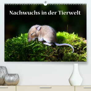 Nachwuchs in der Tierwelt (Premium, hochwertiger DIN A2 Wandkalender 2023, Kunstdruck in Hochglanz) von GUGIGEI