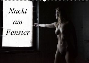 Nackt am Fenster (Wandkalender 2019 DIN A2 quer) von Lee,  Juri