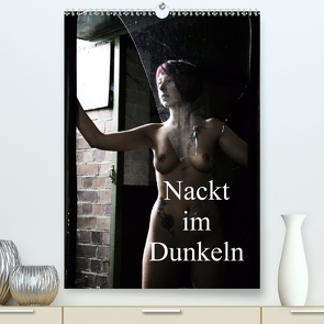 Nackt im Dunkeln / 2020 (Premium, hochwertiger DIN A2 Wandkalender 2020, Kunstdruck in Hochglanz) von Lee,  Juri
