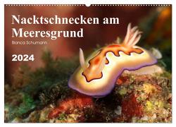 Nacktschnecken am Meeresgrund (Wandkalender 2024 DIN A2 quer), CALVENDO Monatskalender von Schumann,  Bianca