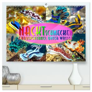 Nacktschnecken, Farbspektakel unter Wasser (hochwertiger Premium Wandkalender 2024 DIN A2 quer), Kunstdruck in Hochglanz von Gödecke,  Dieter