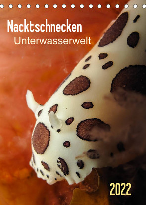 Nacktschnecken – Unterwasserwelt 2022 (Tischkalender 2022 DIN A5 hoch) von Weber-Gebert,  Claudia