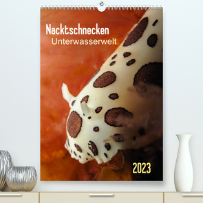 Nacktschnecken – Unterwasserwelt 2023 (Premium, hochwertiger DIN A2 Wandkalender 2023, Kunstdruck in Hochglanz) von Weber-Gebert,  Claudia
