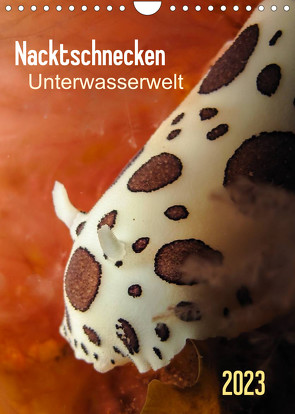 Nacktschnecken – Unterwasserwelt 2023 (Wandkalender 2023 DIN A4 hoch) von Weber-Gebert,  Claudia