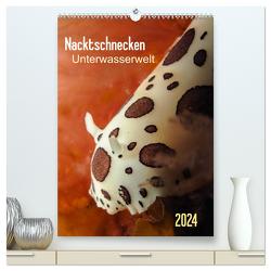 Nacktschnecken – Unterwasserwelt 2024 (hochwertiger Premium Wandkalender 2024 DIN A2 hoch), Kunstdruck in Hochglanz von Weber-Gebert,  Claudia
