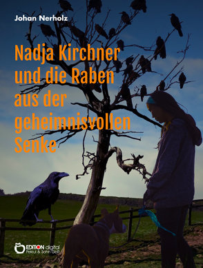 Nadja Kirchner und die Raben aus der geheimnisvollen Senke von Nerholz,  Johan