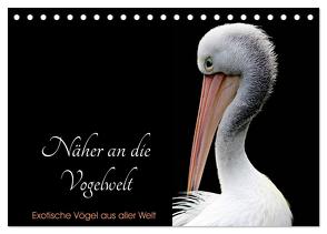 Näher an die Vogelwelt – Exotische Vögel aus aller Welt (Tischkalender 2024 DIN A5 quer), CALVENDO Monatskalender von // www.card-photo.com,  Card-Photo
