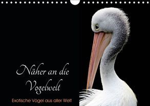 Näher an die Vogelwelt – Exotische Vögel aus aller Welt (Wandkalender 2019 DIN A4 quer) von // www.card-photo.com,  Card-Photo