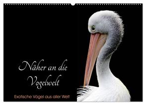 Näher an die Vogelwelt – Exotische Vögel aus aller Welt (Wandkalender 2024 DIN A2 quer), CALVENDO Monatskalender von // www.card-photo.com,  Card-Photo