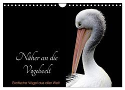 Näher an die Vogelwelt – Exotische Vögel aus aller Welt (Wandkalender 2024 DIN A4 quer), CALVENDO Monatskalender von // www.card-photo.com,  Card-Photo