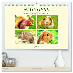 Nagetiere. Hamster, Kaninchen und Co. (hochwertiger Premium Wandkalender 2024 DIN A2 quer), Kunstdruck in Hochglanz von Hurley,  Rose