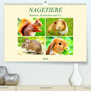 Nagetiere. Hamster, Kaninchen und Co. (Premium, hochwertiger DIN A2 Wandkalender 2020, Kunstdruck in Hochglanz) von Hurley,  Rose