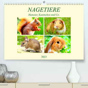 Nagetiere. Hamster, Kaninchen und Co. (Premium, hochwertiger DIN A2 Wandkalender 2023, Kunstdruck in Hochglanz) von Hurley,  Rose