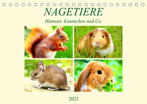 Nagetiere. Hamster, Kaninchen und Co. (Tischkalender 2023 DIN A5 quer) von Hurley,  Rose