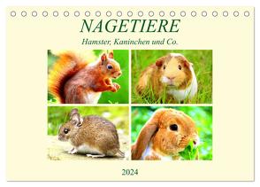 Nagetiere. Hamster, Kaninchen und Co. (Tischkalender 2024 DIN A5 quer), CALVENDO Monatskalender von Hurley,  Rose