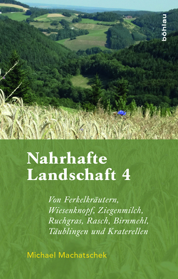 Nahrhafte Landschaft 4 von Machatschek,  Michael