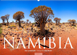 Namibia – Die Landschaft (Wandkalender 2023 DIN A2 quer) von Bruhn,  Olaf