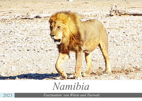 Namibia, Faszination Wüste und Tierwelt (Wandkalender 2023 DIN A2 quer) von Kärcher,  Linde