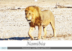 Namibia, Faszination Wüste und Tierwelt (Wandkalender 2023 DIN A3 quer) von Kärcher,  Linde