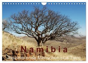Namibia – faszinierende Menschen und Tiere (Wandkalender 2024 DIN A4 quer), CALVENDO Monatskalender von Dürr,  Brigitte