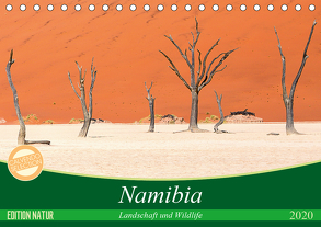 Namibia Landschaft und Wildlife (Tischkalender 2020 DIN A5 quer) von Junio,  Michele