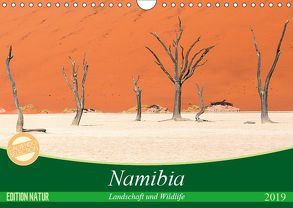 Namibia Landschaft und Wildlife (Wandkalender 2019 DIN A4 quer) von Junio,  Michele