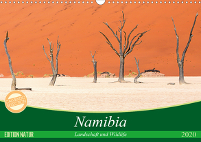 Namibia Landschaft und Wildlife (Wandkalender 2020 DIN A3 quer) von Junio,  Michele