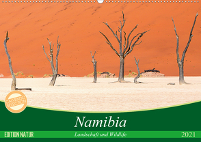 Namibia Landschaft und Wildlife (Wandkalender 2021 DIN A2 quer) von Junio,  Michele