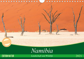 Namibia Landschaft und Wildlife (Wandkalender 2021 DIN A4 quer) von Junio,  Michele