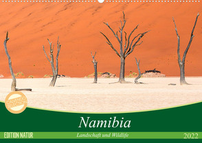 Namibia Landschaft und Wildlife (Wandkalender 2022 DIN A2 quer) von Junio,  Michele