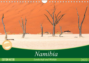 Namibia Landschaft und Wildlife (Wandkalender 2022 DIN A4 quer) von Junio,  Michele